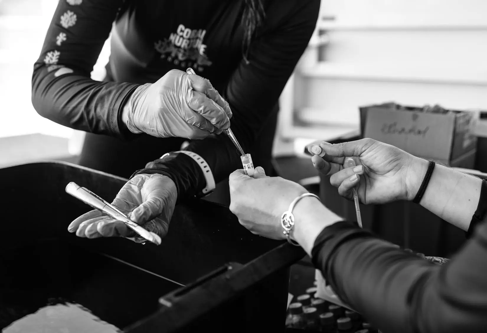 Pioneering coral reef resilience